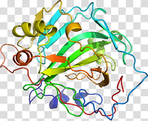 Line Point Organism , line transparent background PNG clipart thumbnail