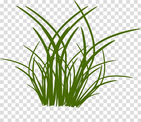 Grass Drawing Flower Blume, grass transparent background PNG clipart