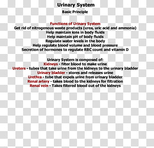 Document Line Brand, line transparent background PNG clipart thumbnail