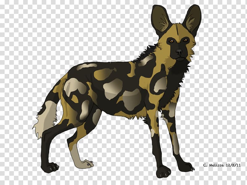 African wild dog Puppy Hyena Dhole, howl transparent background PNG clipart