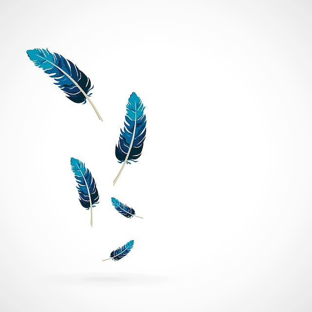 Bird Feather, Blue Feather transparent background PNG clipart