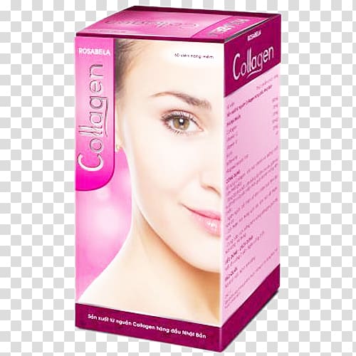 Eyelash extensions Collagen Skin Ageing Bone, collagen transparent background PNG clipart