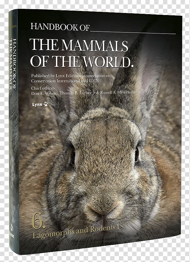 Domestic rabbit Handbook of the Mammals of the World: Lagomorphs and Rodents I Handbook of the Birds of the World Handbook of the Mammals of the World, Volume 3, rabbit transparent background PNG clipart