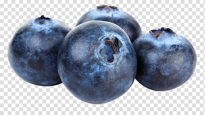 Highbush blueberry Bilberry Fruit, blueberry fruit transparent background PNG clipart