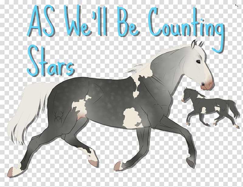 Mustang Stallion Pony Mare Rein, Canter And Gallop transparent background PNG clipart