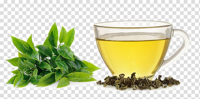 Green tea White tea Extract Camellia sinensis, Wet tea and lemonade HD graph transparent background PNG clipart
