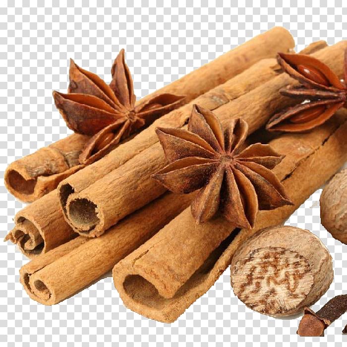 star anise cinnamon transparent background PNG clipart