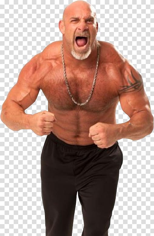 Bill Goldberg High-definition video , Bill Goldberg transparent background PNG clipart