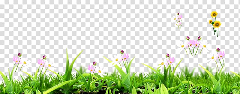 , Grass decoration design material transparent background PNG clipart