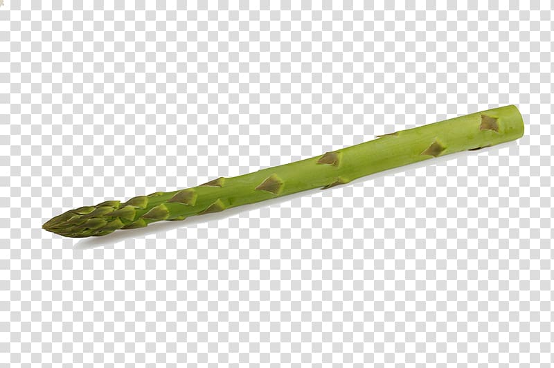 Bamboo shoot Asparagus Vegetable Tomato, Fresh bamboo shoots transparent background PNG clipart