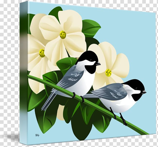 Art Black-capped chickadee Painting kind, Dogwood transparent background PNG clipart