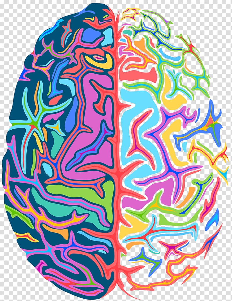 Brain Psychedelia Psychedelic drug Ross Rogen Wishful Thinking, Brain transparent background PNG clipart