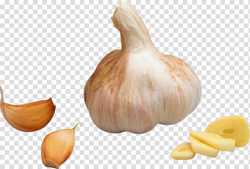 Garlic Vegetable Icon, Garlic transparent background PNG clipart