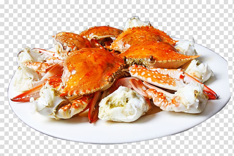 cooked crabs on white plate, Dungeness crab Chinese mitten crab, crab transparent background PNG clipart