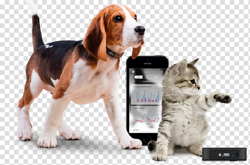 Cat Dog Pet Global Positioning System Activity tracker, Cat transparent background PNG clipart