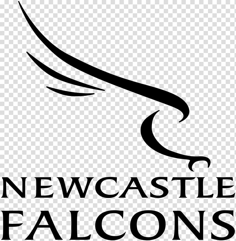 Newcastle Falcons English Premiership Worcester Warriors Kingston Park Sale Sharks, Newcastle transparent background PNG clipart