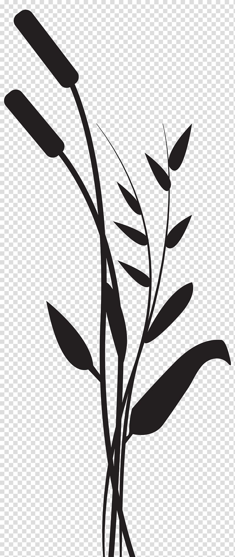 Silhouette Drawing , silhouette grass transparent background PNG clipart