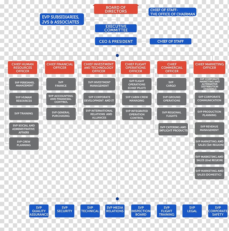 Organizational structure Organizational chart Business Turkish Airlines, Business transparent background PNG clipart