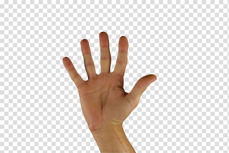 Greeting American Sign Language Gesture Hand, Cinco transparent background PNG clipart