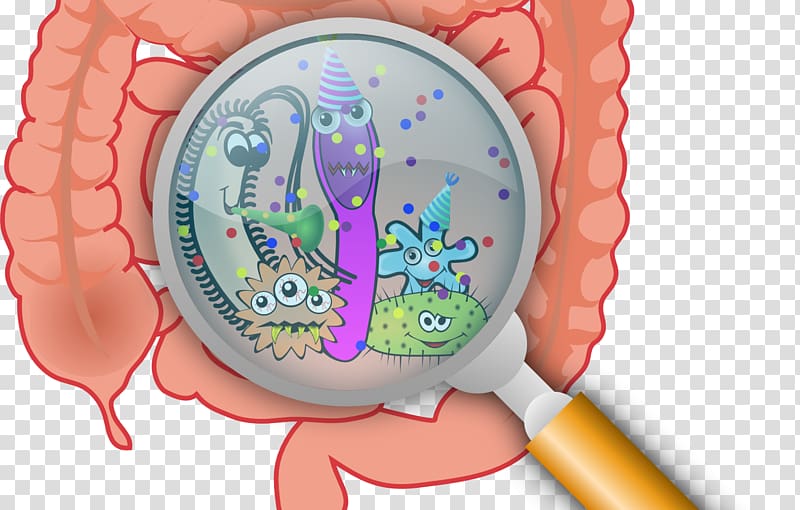 Gastrointestinal tract Gastrointestinal disease Gut flora Small intestinal bacterial overgrowth, bacteria transparent background PNG clipart