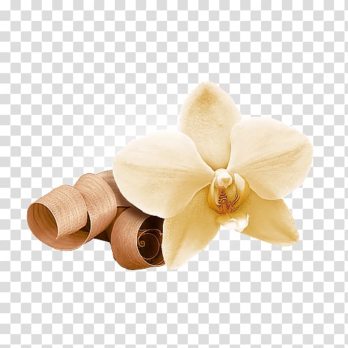 Flower Indian sandalwood Petal Orchids Eau de Cologne, flower transparent background PNG clipart