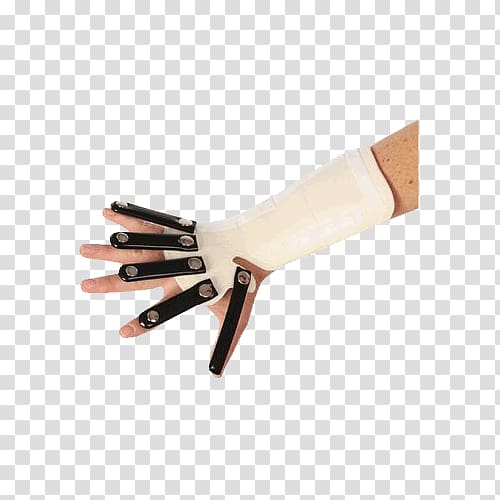 Thumb Radial nerve Hand Radial artery Forearm, hand transparent background PNG clipart