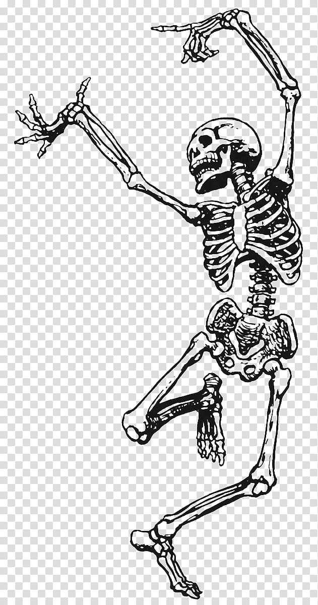 Skeleton Death Dance Art Drawing, Skeleton transparent background PNG clipart