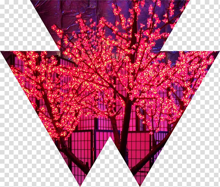 Wizard Connection Cherry blossom Event management Light, illuminated lights transparent background PNG clipart