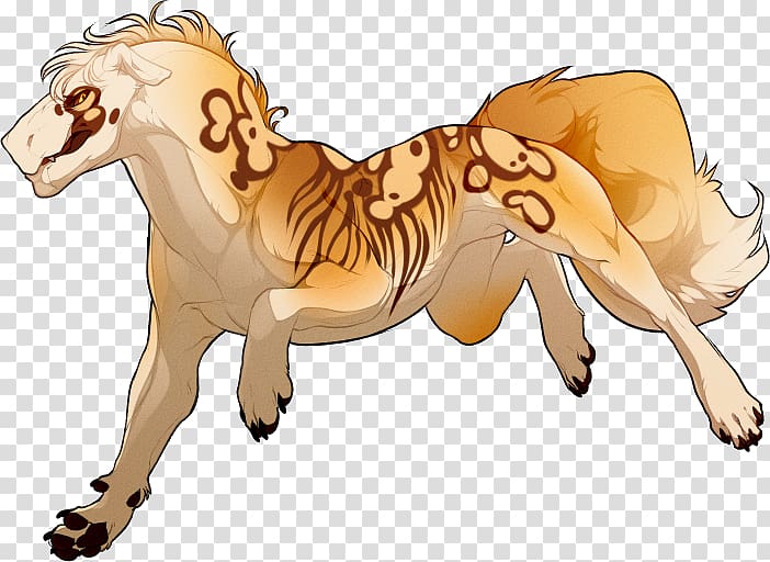 Lion Mustang Cat Canidae Mane, lion transparent background PNG clipart
