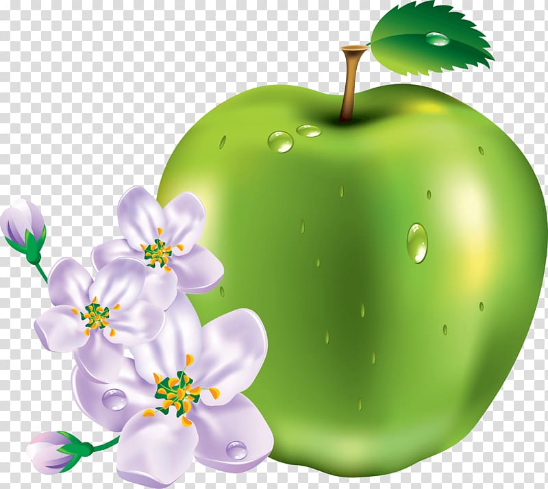 Apple , Green Apple transparent background PNG clipart