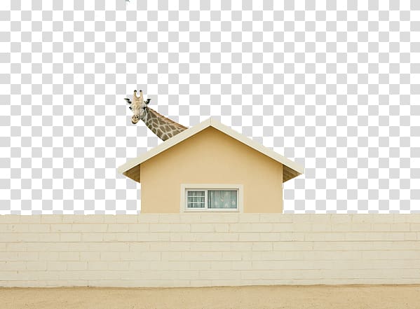 Humour grapher Brite Productions, Giraffe House transparent background PNG clipart
