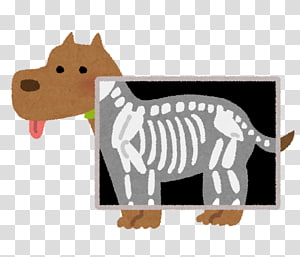 Xray Transparent Background Png Cliparts Free Download Hiclipart - roblox xray