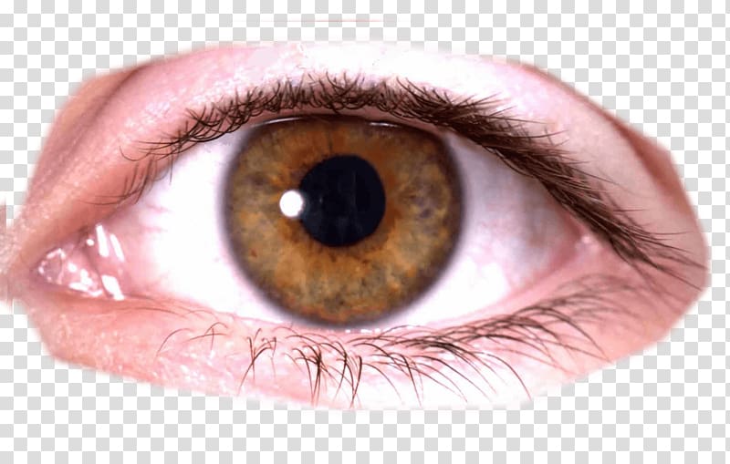 Eye , Eye transparent background PNG clipart