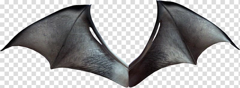 gray bat wings, Lamborghini Murcixe9lago Drawing , Bat Wings transparent background PNG clipart