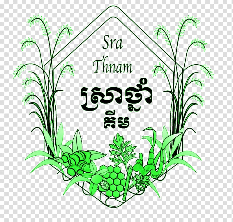 Sra Thnam House Grasses Medicinal plants Plant stem, scenic of peace and serenity transparent background PNG clipart