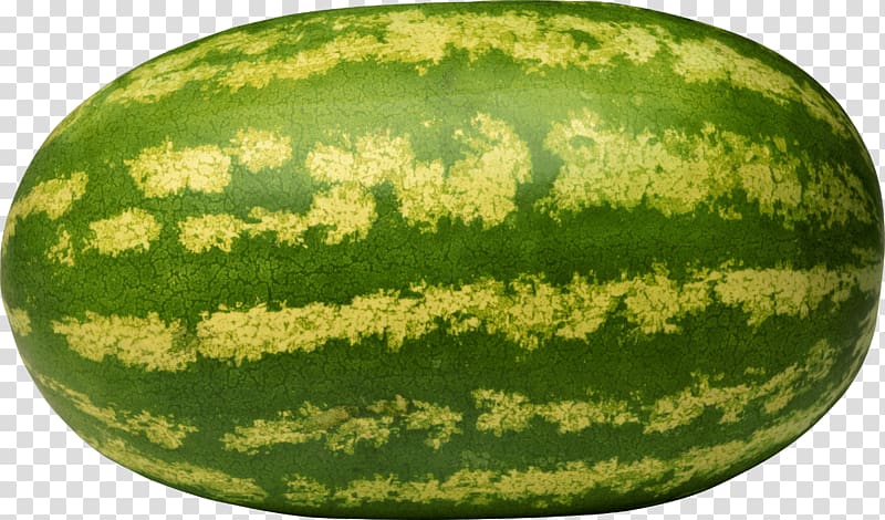Citrullus lanatus var. lanatus Melon Fruit Honeydew, watermelon transparent background PNG clipart