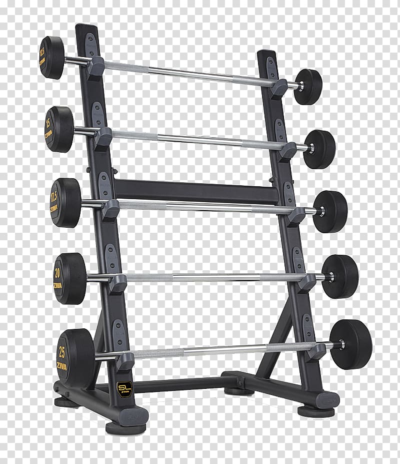 Fitness centre Dumbbell Exercise equipment Weight training, barbell transparent background PNG clipart