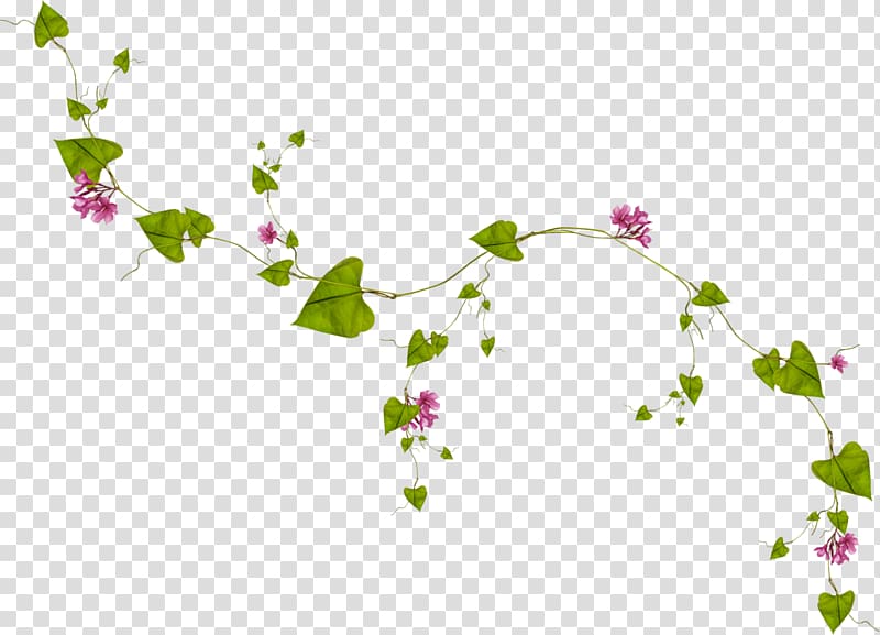 Leaf Vine , garland frame transparent background PNG clipart