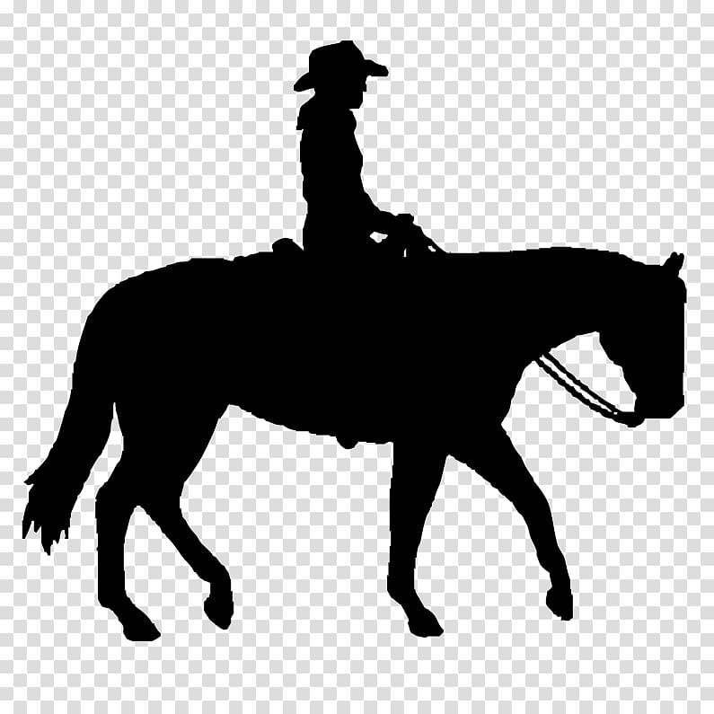 silhouette of woman riding horse , Dallas Cowboys Horse , Rodeo Silhouette transparent background PNG clipart