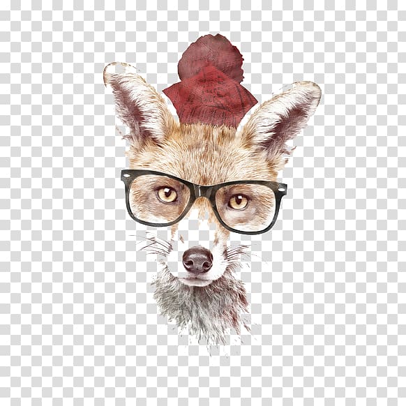 Mr. Fox 4 Colours Poster T-shirt, Hand-painted fox transparent background PNG clipart