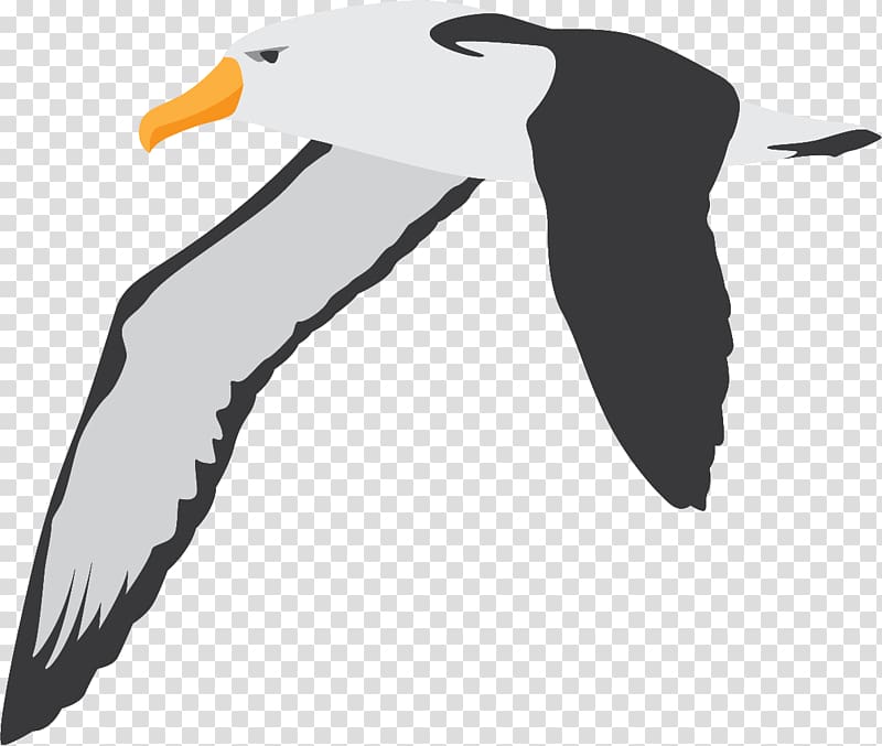 Swan goose Flight Bird Penguin, Wild goose flying transparent background PNG clipart