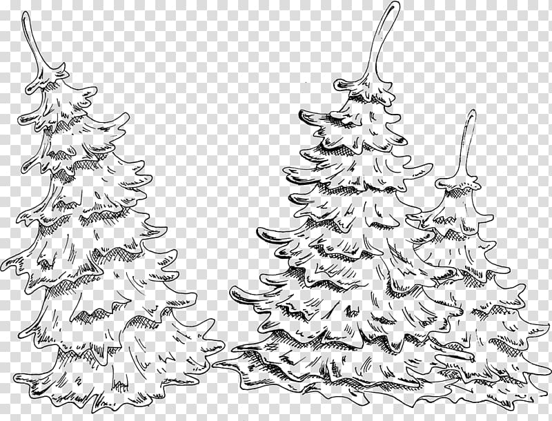 Christmas tree Christmas ornament Spruce Fir, said it was pyramid transparent background PNG clipart