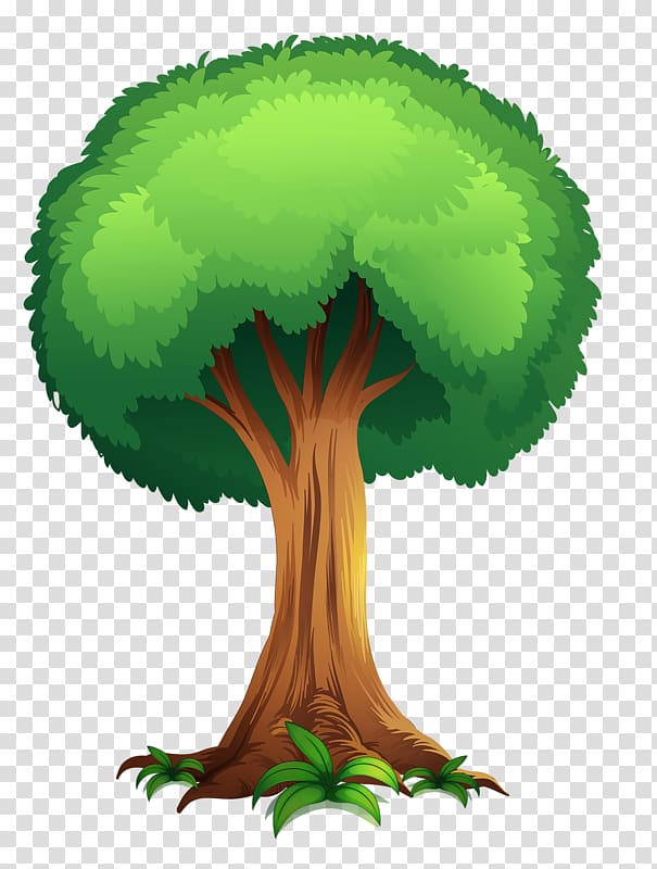 Open Tree Free content , camp campbell tree tops transparent background PNG clipart