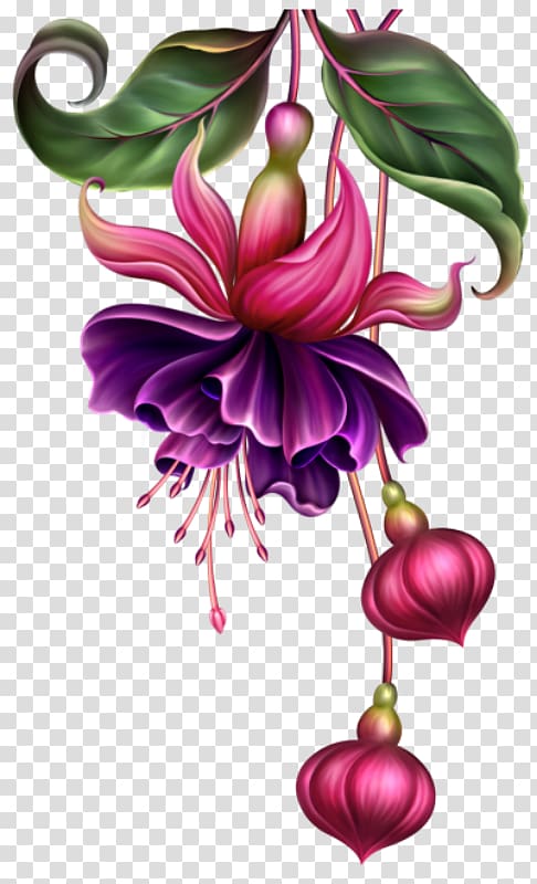Fuchsia Watercolor painting Digital painting Pin, painting transparent background PNG clipart