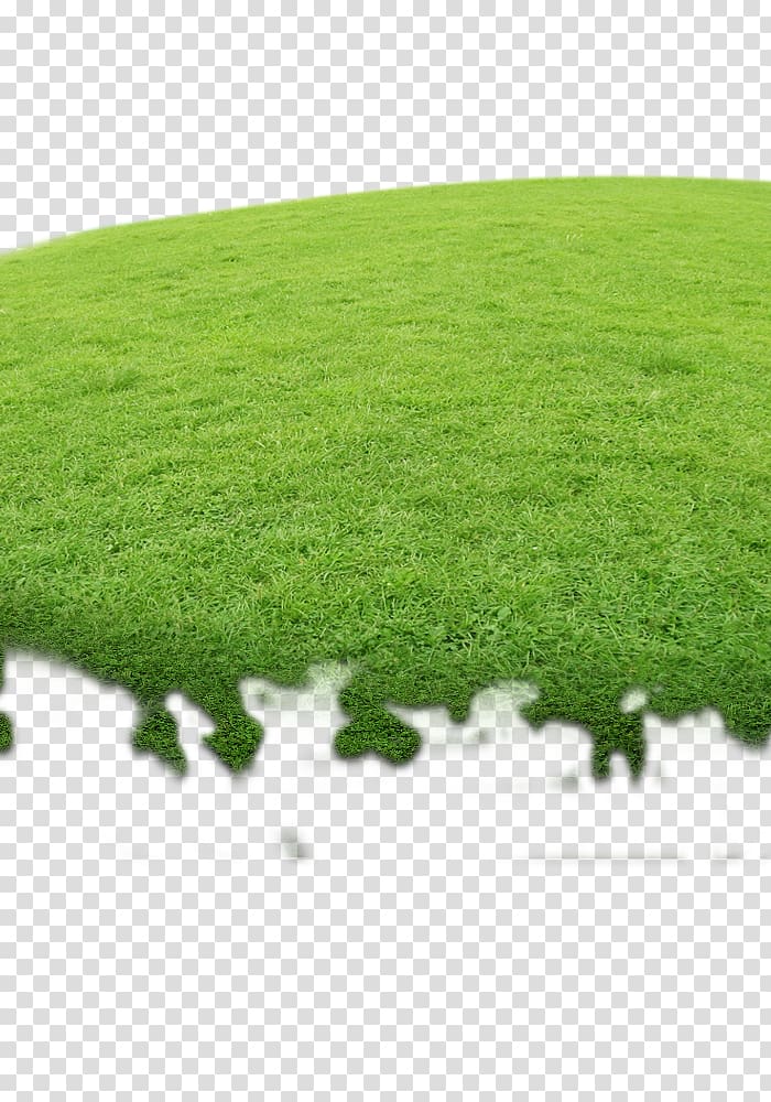Google Designer, Grass flat transparent background PNG clipart