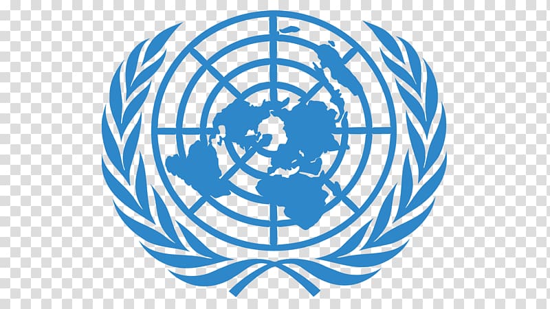 Social media United Nations Organization Education, social media transparent background PNG clipart