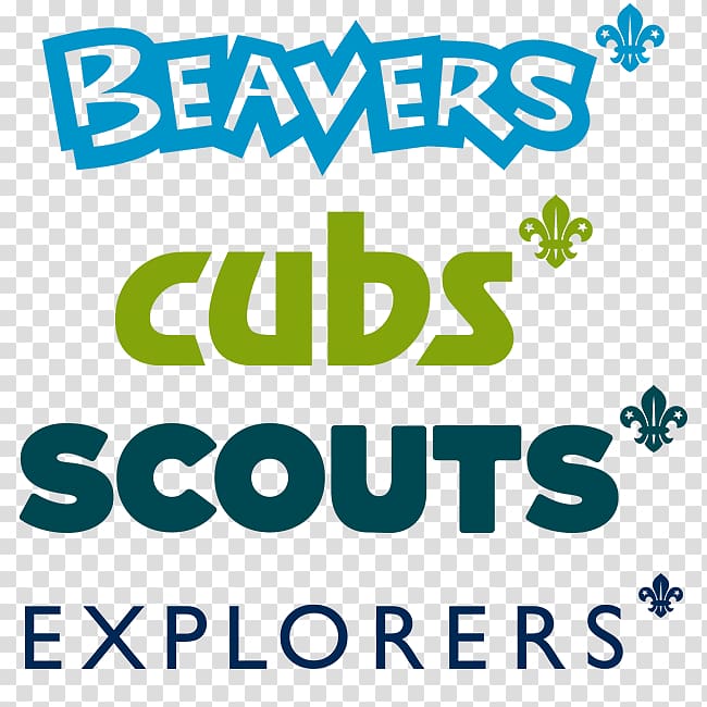 Beavers Beaver Scouts Scout Group The Scout Association, beaver transparent background PNG clipart