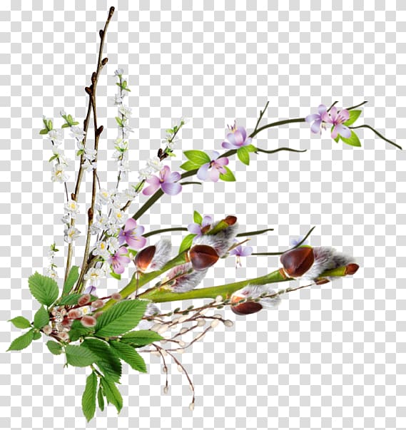 Cut flowers Centerblog 0 Plant stem, flower transparent background PNG clipart