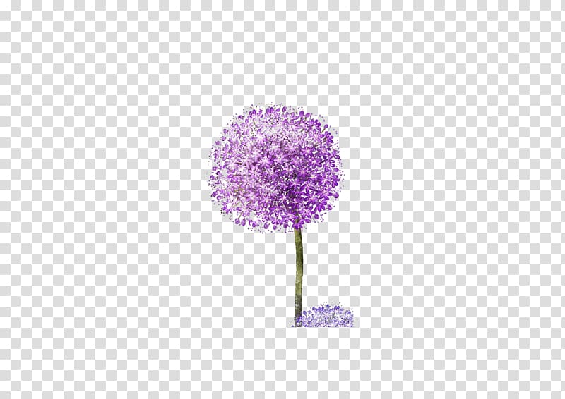 Dandelion Purple , Purple Dandelion transparent background PNG clipart