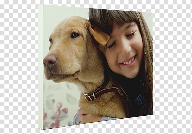 Boxer Child Dog breed Service dog Alabama rot, Camera Poster transparent background PNG clipart